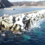 小本港小本浜地区災害復旧工事